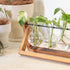 Glass Planter Bulb Vase with Retro Solid Wooden Stand and Metal Swivel Holder for Hydroponics Plants